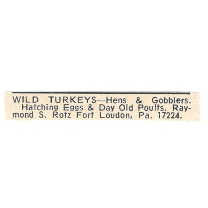 Raymond S. Rotz Wild Turkeys Fort London PA 1977 Ad AF6-S5
