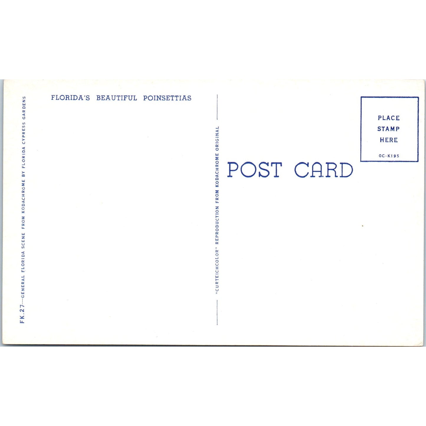 Florida's Beautiful Poinsettias Vintage Postcard PE3
