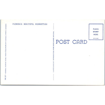 Florida's Beautiful Poinsettias Vintage Postcard PE3