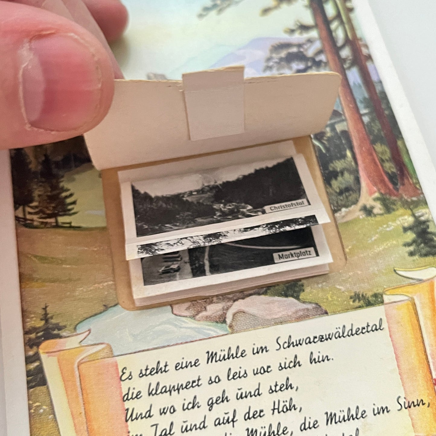 Gruß aus Freudenstadt im Schwarzwald Black Forest Vtg German Pop-up Postcard PY1