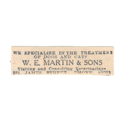 W.E. Martin & Sons Veterinarians 281 James Street Winnipeg 1920 Ad AG2-S4