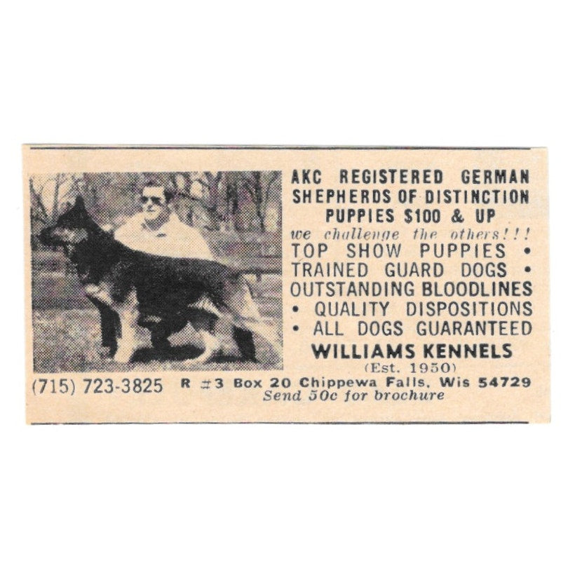 Williams Kennels German Shepherds Chippewa Falls WI 1977 Ad AF6-S2