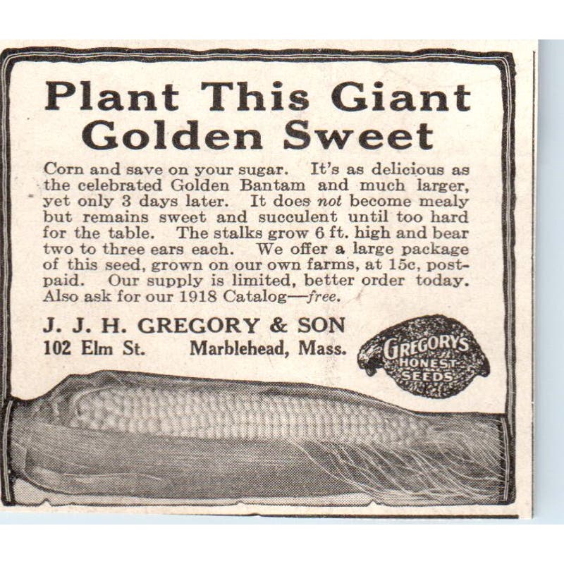 Sweet Corn J.J.H. Gregory and Son Marblehead MA 1918 Magazine Ad AF1-SS2