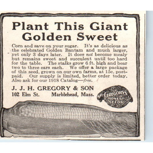 Sweet Corn J.J.H. Gregory and Son Marblehead MA 1918 Magazine Ad AF1-SS2