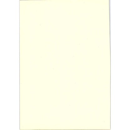 The Spinner - Maes - 1908 Litho Art Print AF5-5