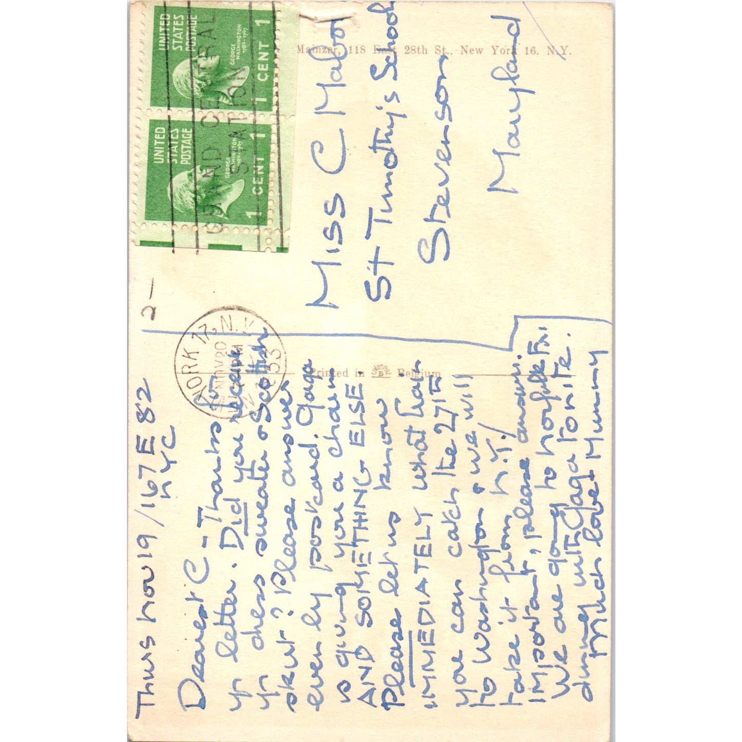 English Springer Spaniel Dog Alfred Mainzer Illustration 1953 Postcard PD2