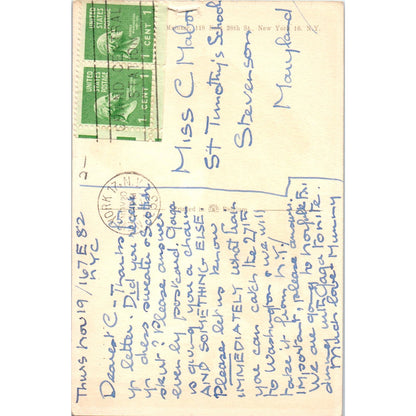 English Springer Spaniel Dog Alfred Mainzer Illustration 1953 Postcard PD2