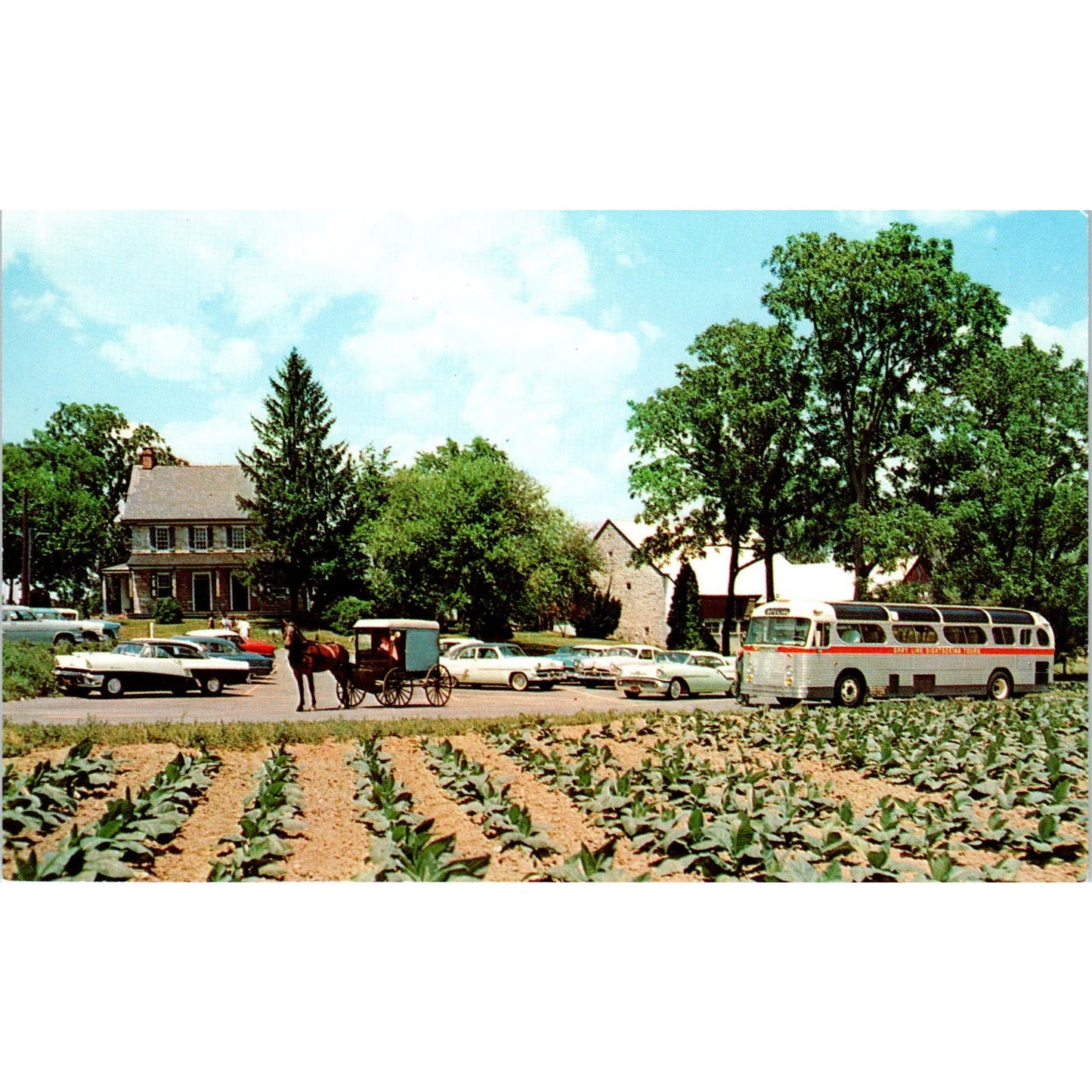 The Amish Farm & House Lancaster PA Mrs. Hopkins Vintage Postcard PD4