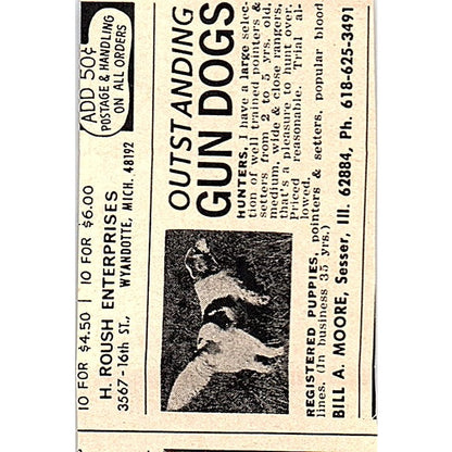 Wing & Shot Promo The Country Press Scottsville NY 1977 Ad AF6-M3