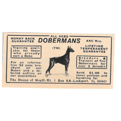The House of Hoytt Dobermans Lockport IL 1977 Ad AF6-S4