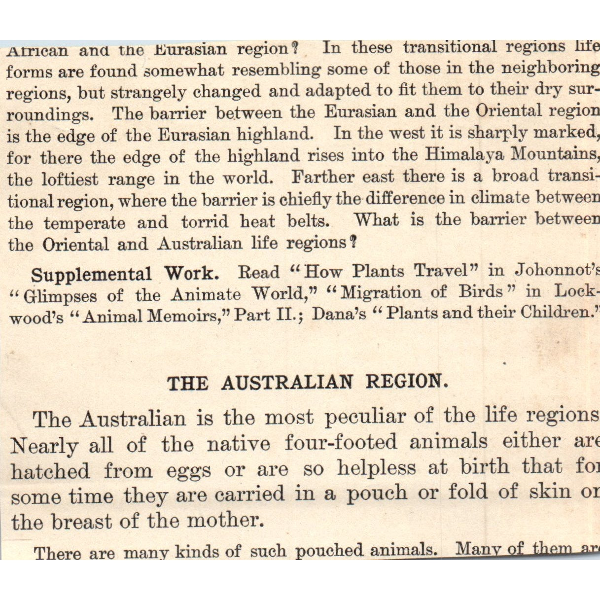 Animals Australia Kiwi Kangaroo Cassow Koala Echidna 1901 Engraving AF2-A6