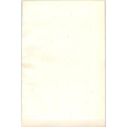 Brambling Bird 1903 Original Color Engraving Plate Print AD8-B8