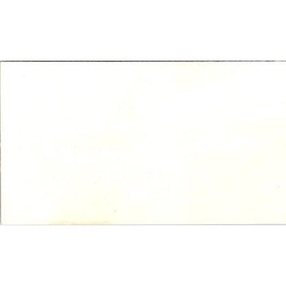 The Towel and Tog Shop Inc Lake Park Valdosta GA Business Card AI9-M28