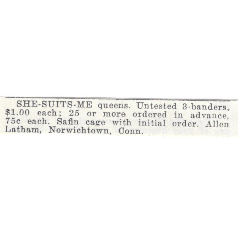 Allen Latham She-Suits-Me Queen Bees Norwichtown CT 1926 Ad AG3-S21