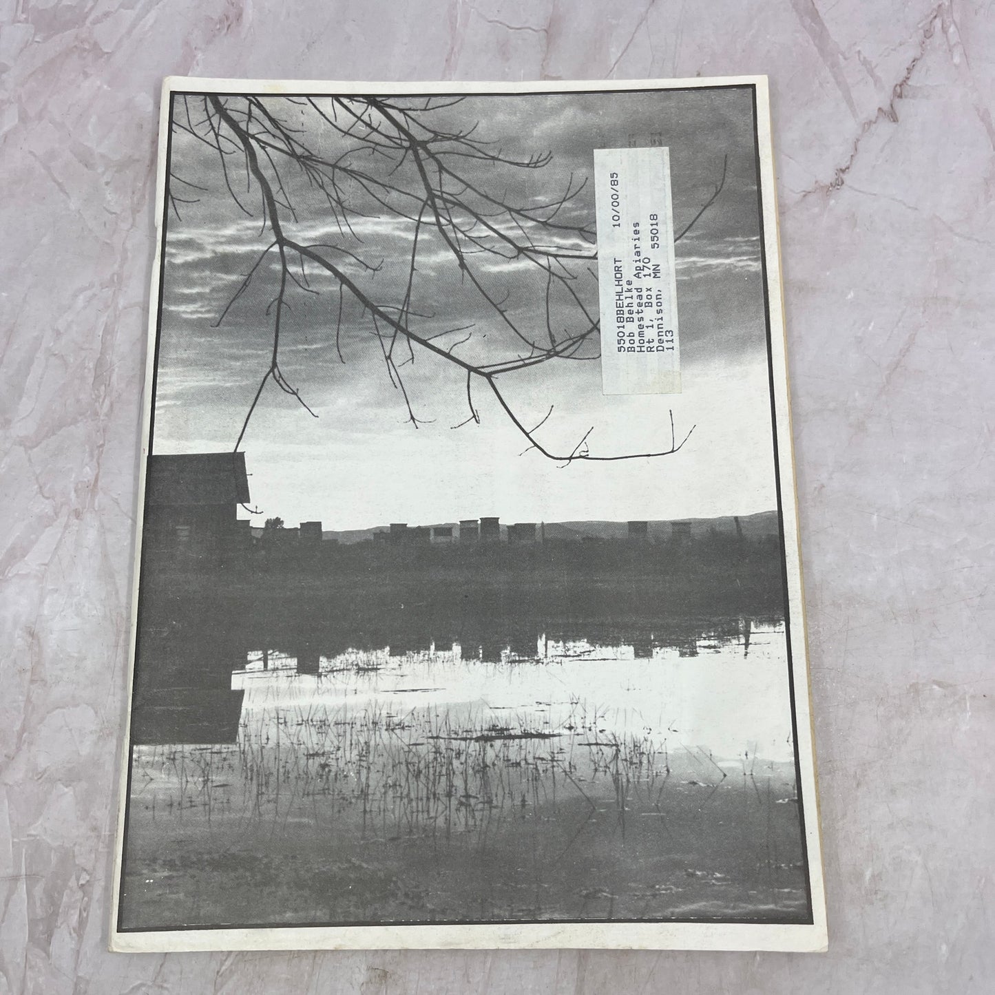 1984 Nov - Gleanings in Bee Culture Magazine - Bees Beekeeping Honey M33