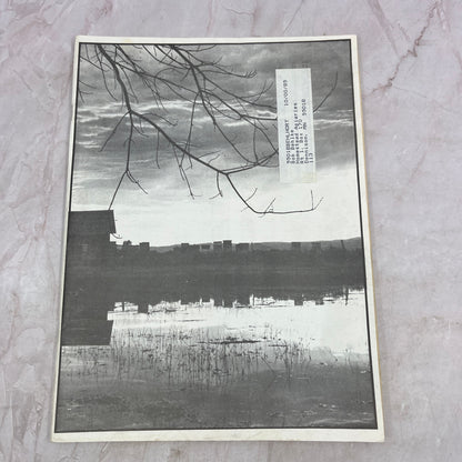 1984 Nov - Gleanings in Bee Culture Magazine - Bees Beekeeping Honey M33