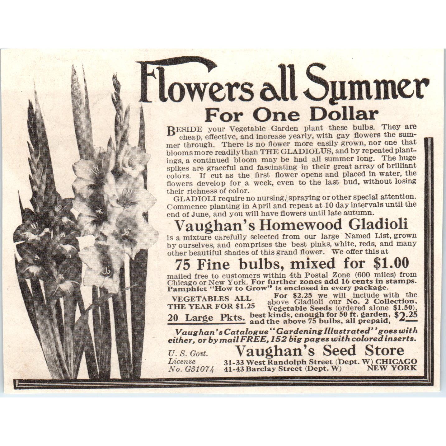 Summer Flowers Vaughan's Seed Store Chicago NY 1918 Magazine Ad AF1-WH1