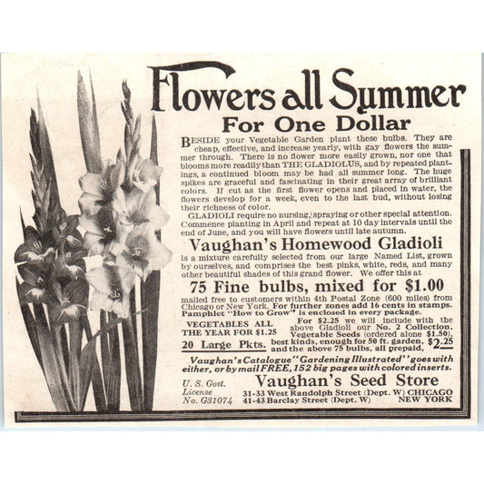 Summer Flowers Vaughan's Seed Store Chicago NY 1918 Magazine Ad AF1-WH1