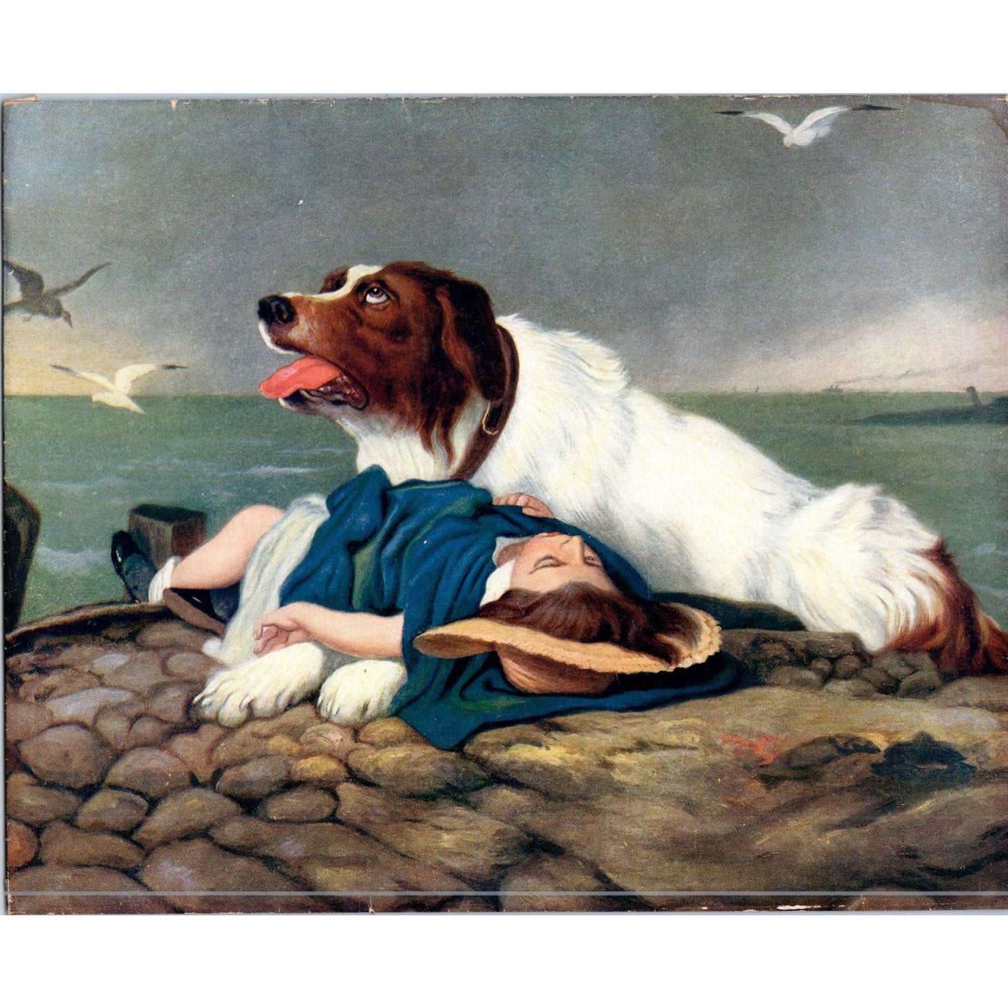 "Saved" Sir Edwin Landseer Saint Bernard Milo Sea Side Vintage Print 8x10" D10