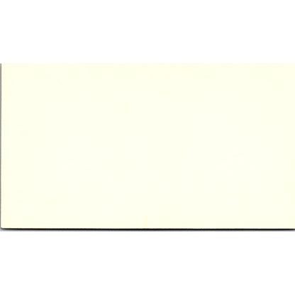 Inbesa America Inc Carmen Geiger Houston Vintage Business Card SD9-B13