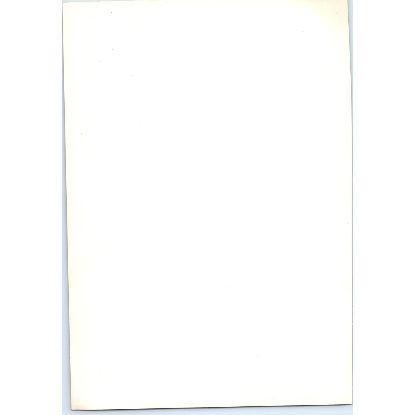 Violante - Palma Vecchio c1905 Art Print D14