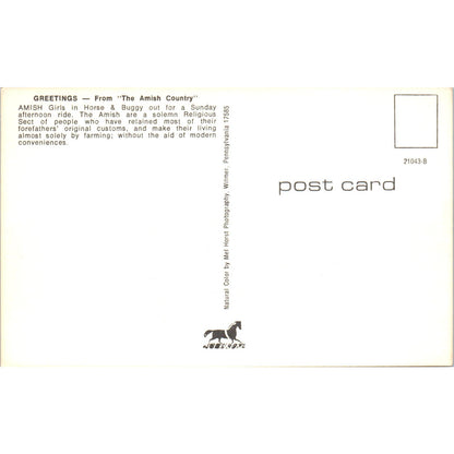 Amish Girls in Horse & Buggy Pennsylvania Dutch Country Vintage Postcard PD5