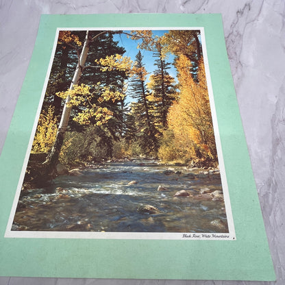 Black River, White Mountains Vintage 11x14" Art Print V21