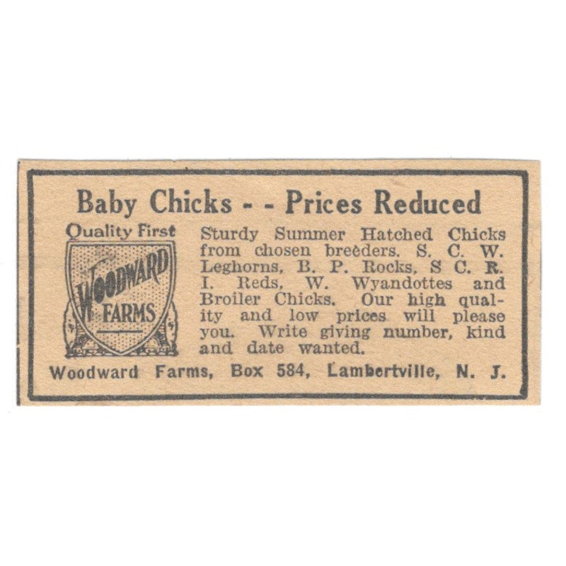 Woodward Farms Baby Chicks Lambertville NJ 1922 Magazine Ad AF2-T5