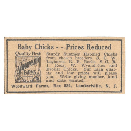 Woodward Farms Baby Chicks Lambertville NJ 1922 Magazine Ad AF2-T5
