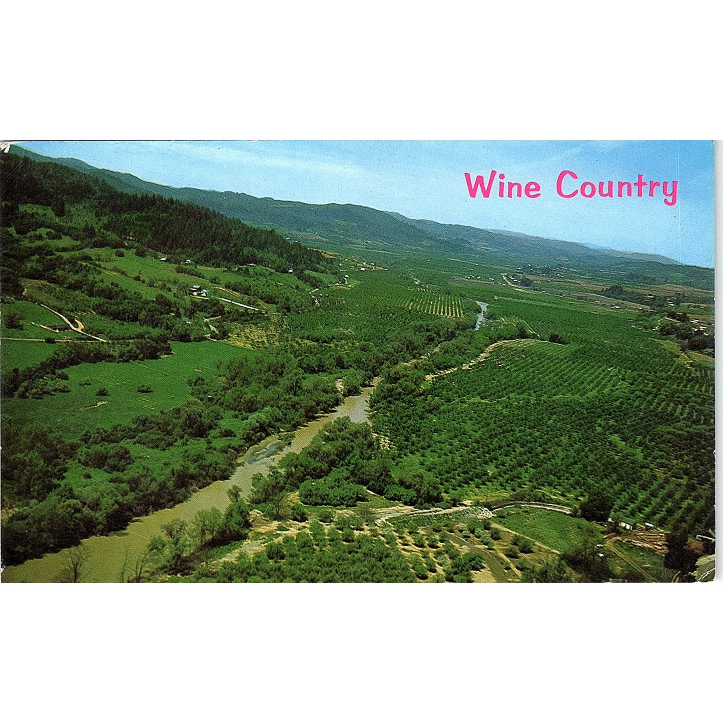 Aerial View of Redwood Highway Vineyards Color by Mike Roberts Vtg Postcard PE1