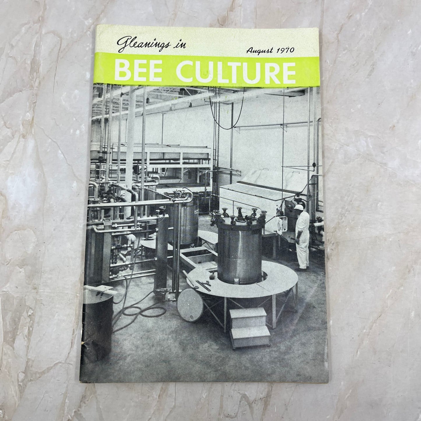 1970 Aug Gleanings in Bee Culture Magazine Bees Beekeeping Honey M8