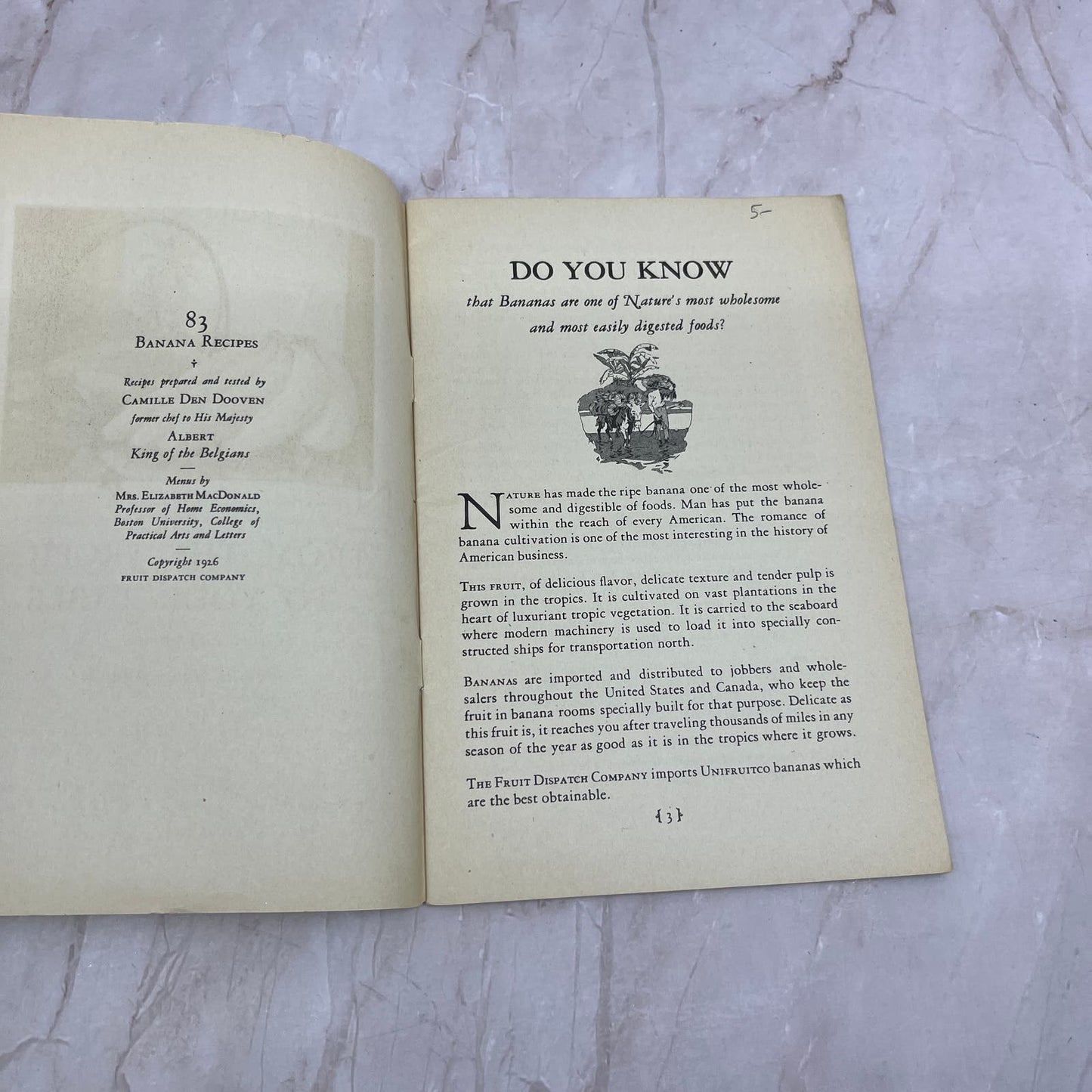 1926 - 83 Banana Recipes Cookbook Fruit Dispatch Company New York TG8-VW