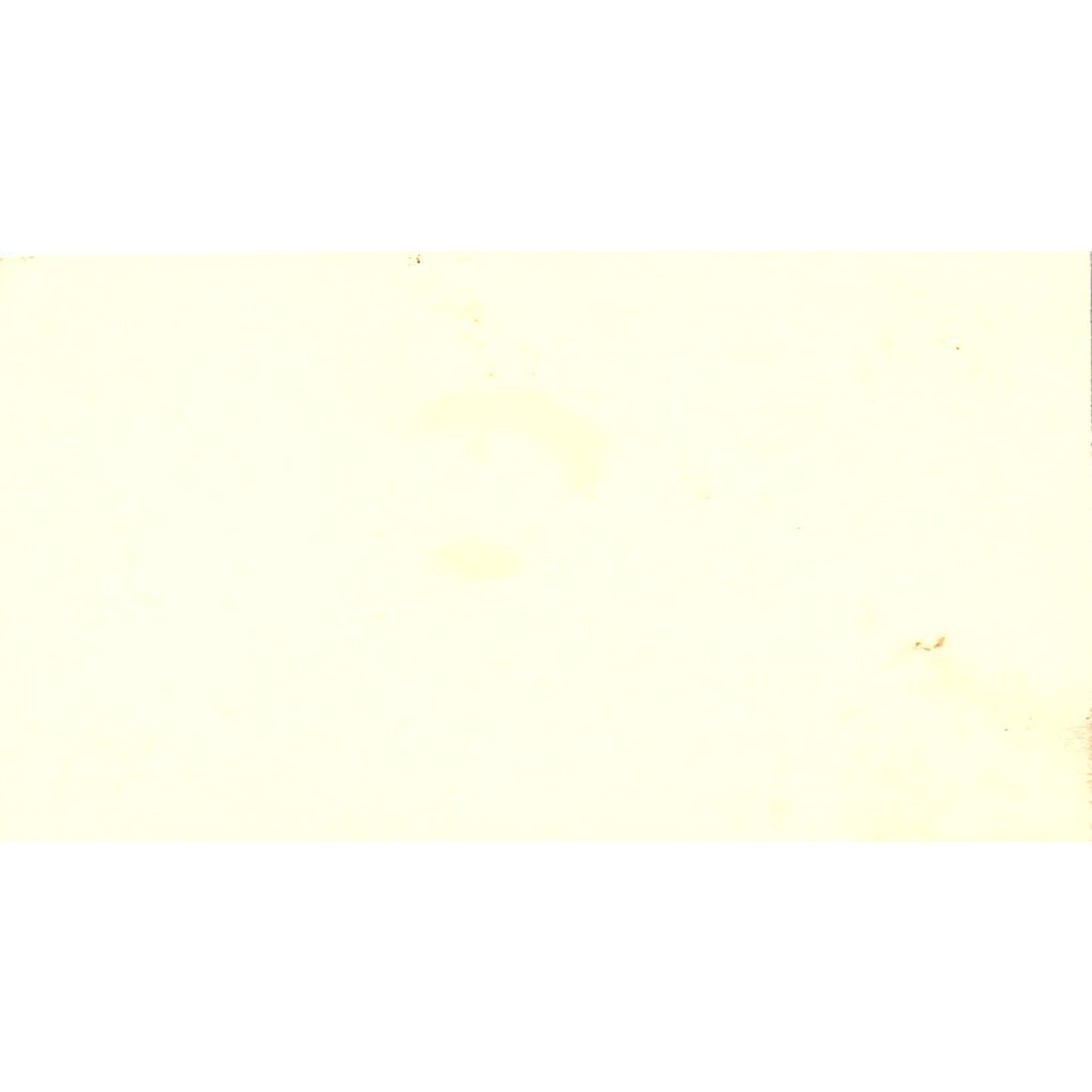 Lone Star Ford Roy Nickerson Houston Texas Vintage Business Card SF3-B2