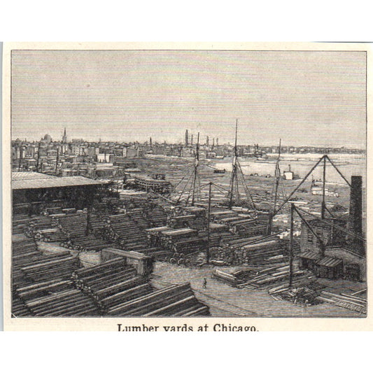 Lumber Yards at Chicago IL 1901 Engraving AF2-P1