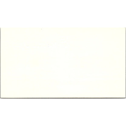 Merrill Lynch Richard D Niemann Houston Texas Vintage Business Card SB4-B1