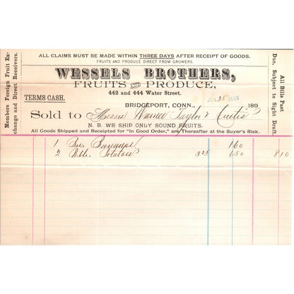 1893 Wessels Brothers Fruits & Produce Bridgeport CT Receipt Letterhead D24