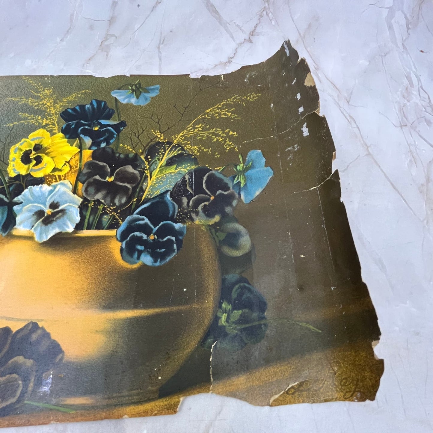 Henri LeRoy Pansy Blossoms Vintage Art Print Lithograph 8x15 FL6-3