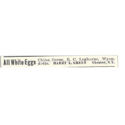 Harry L Green All White Eggs Chester NY 1924 Ad AG3-S9