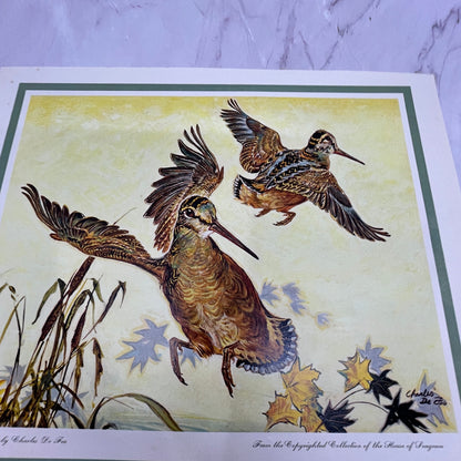 Woodcock by Charles De Feo Vintage 11x14" Art Print V21