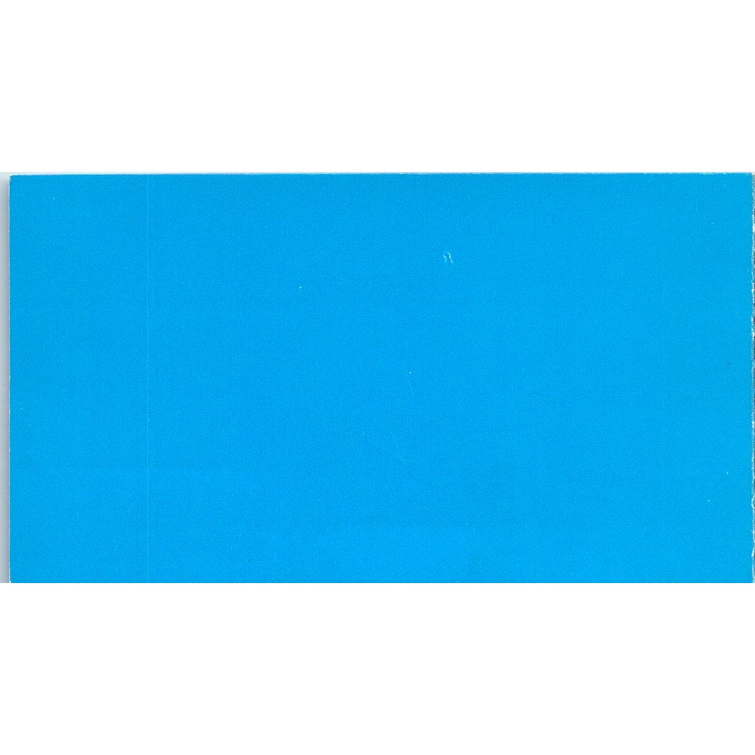 Americana Realtors Mary DeFord Nadine Lederfine Bellflower Business Card SD4-B5
