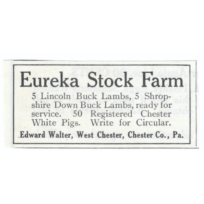 Eureka Stock Farm Edward Walter West Chester PA 1913 Magazine Advert AE7-N8