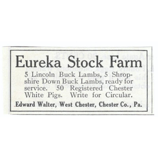 Eureka Stock Farm Edward Walter West Chester PA 1913 Magazine Advert AE7-N8