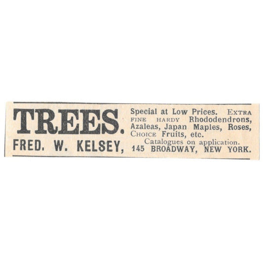 Fred W. Kelsey Trees Broadway New York 1892 Magazine Ad AK6-S3