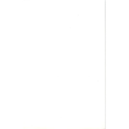 Green Woodpecker Bird 1903 Original Color Engraving Plate Print AD8-B2