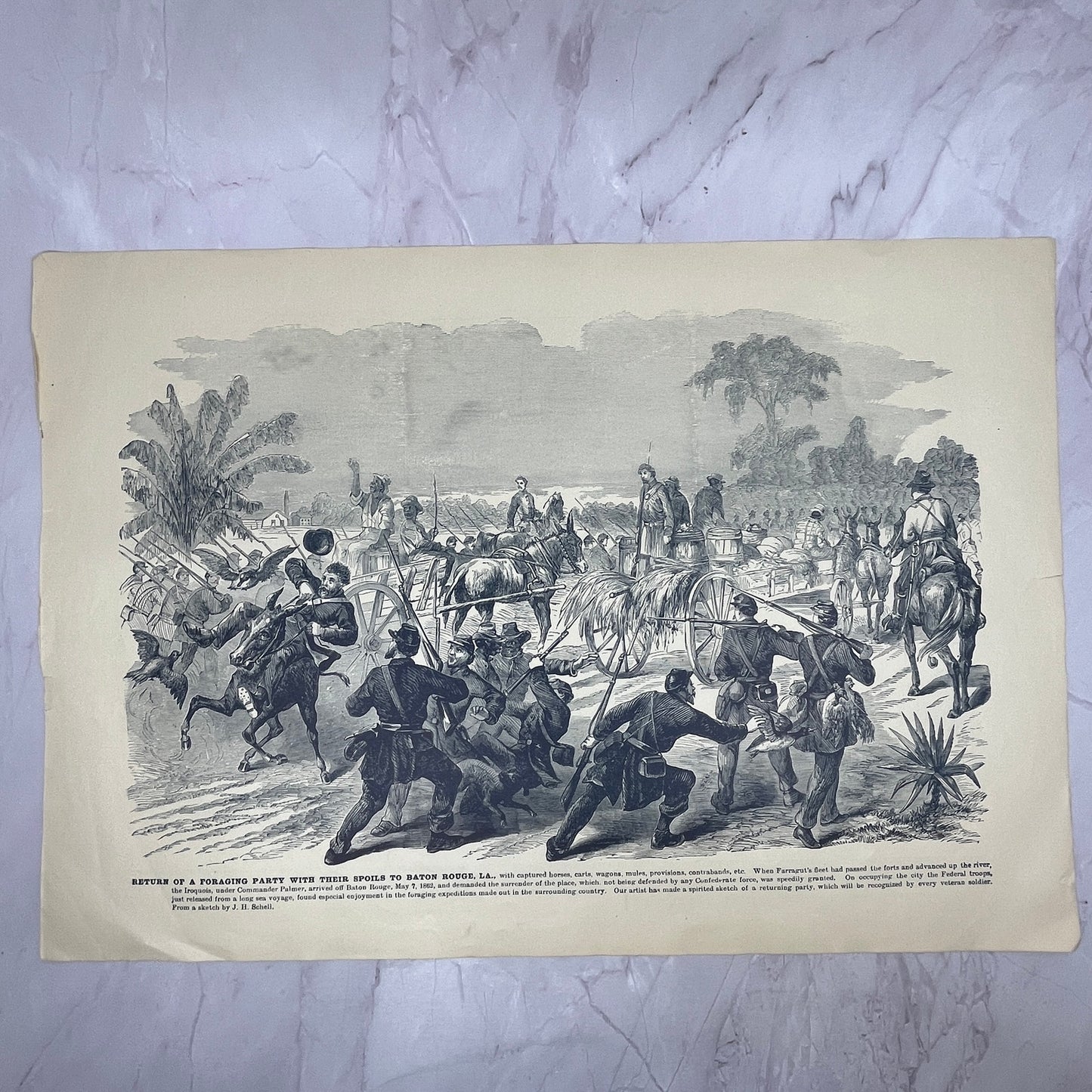 Battle of Frazier's Farm Charles City, Baton Rouge Foraging Party 1894 V14-5