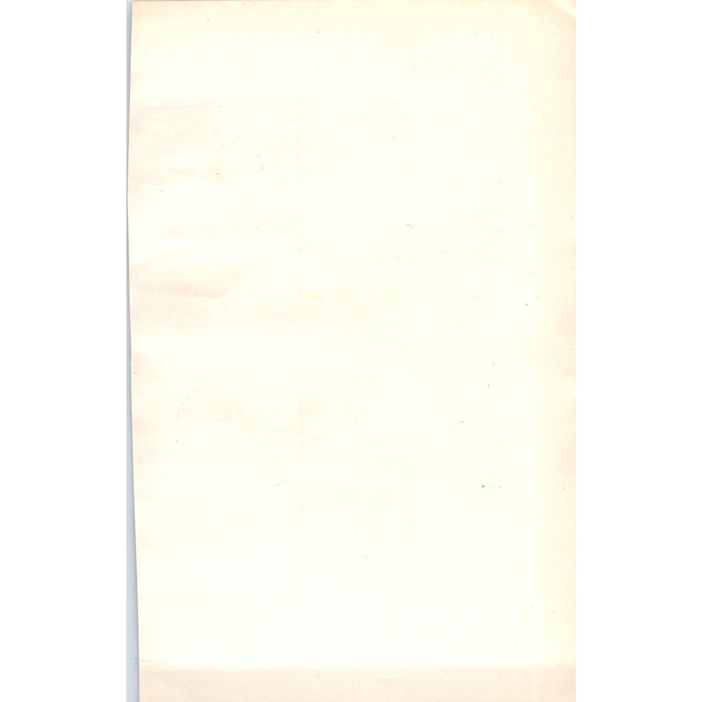 Wryneck Bird 1903 Original Color Engraving Plate Print AD8-B3