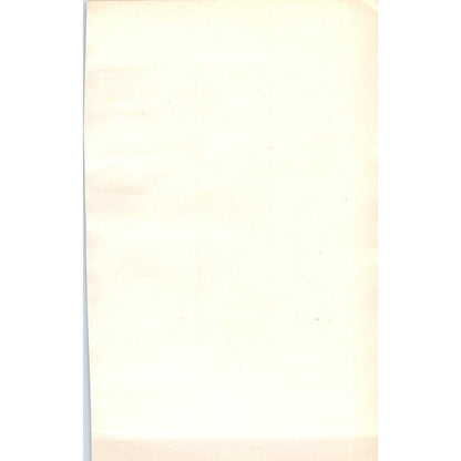 Wryneck Bird 1903 Original Color Engraving Plate Print AD8-B3