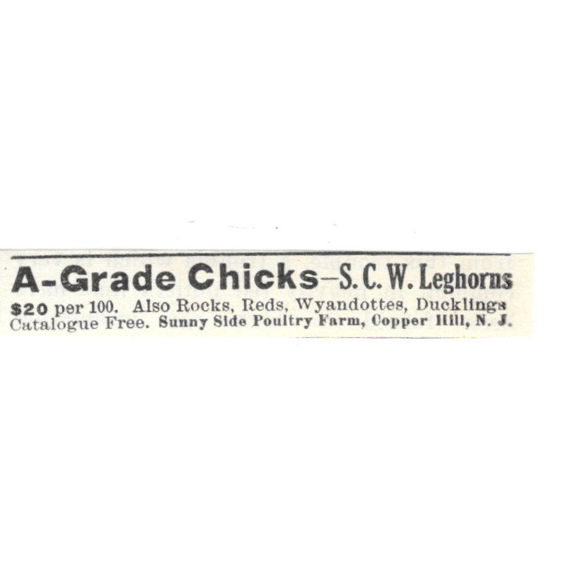Sunny Side Poultry Farm A-Grade Chicks Copper Hill NJ 1924 Ad AG3-S9