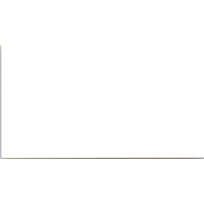 Efren Bañuelos Tree Service Long Beach Vintage Business Card SD8-B21