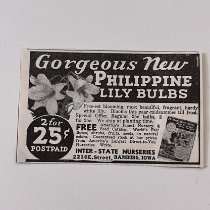 Inter-State Nurseries Philippine Lily Bulbs Hamburg IA 1936 Ad SAG4-M4